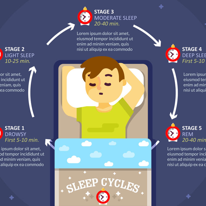 graphic of sleep stages